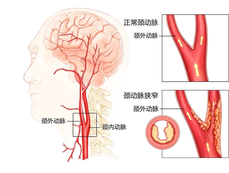 圖片 1.png