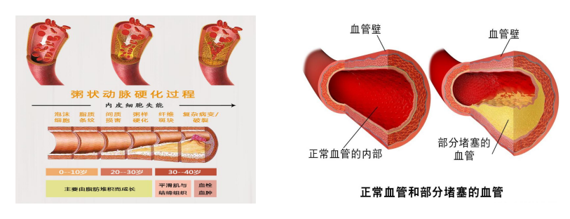 圖片 3.png