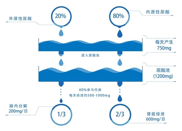 微信圖片_痛風(fēng)1