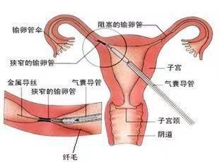 微信圖片1