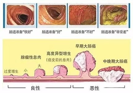 圖片3.jpg